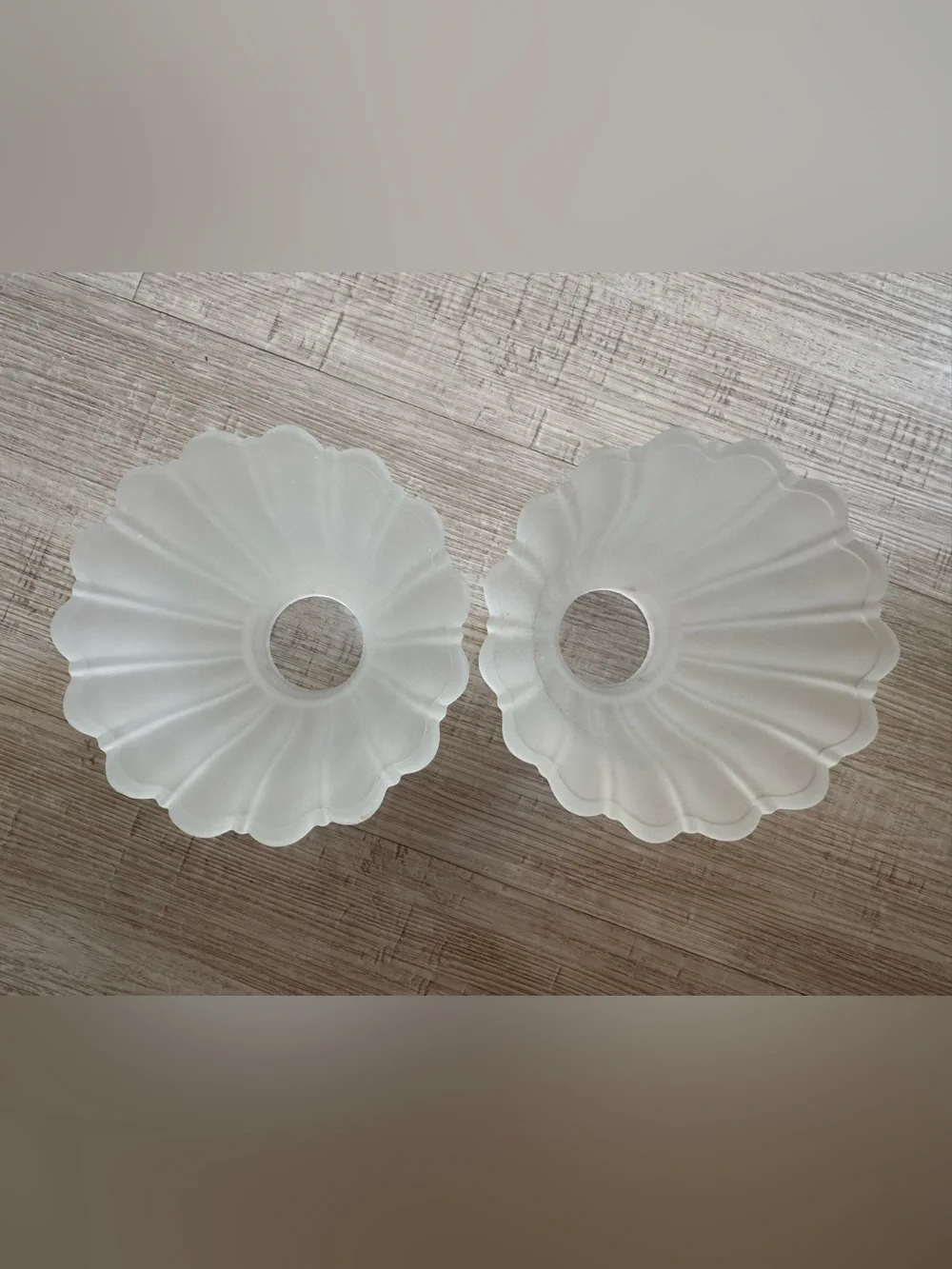 Vintage Frosted Glass Shade Set - Pair